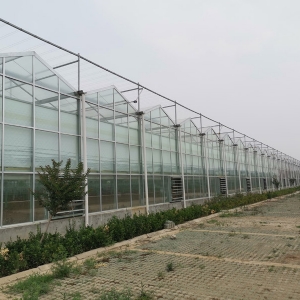 大棚安装加工